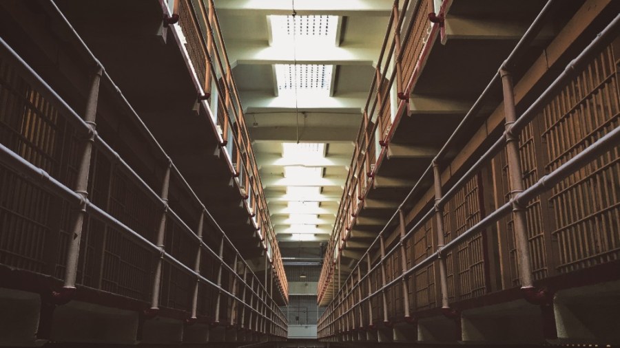 Photo by Tyler Rutherford on Unsplash | sanguine meander